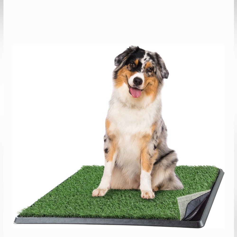Pet Adobe Artificial Grass Potty Trainer Dog Mat, Medium, 4-Layer